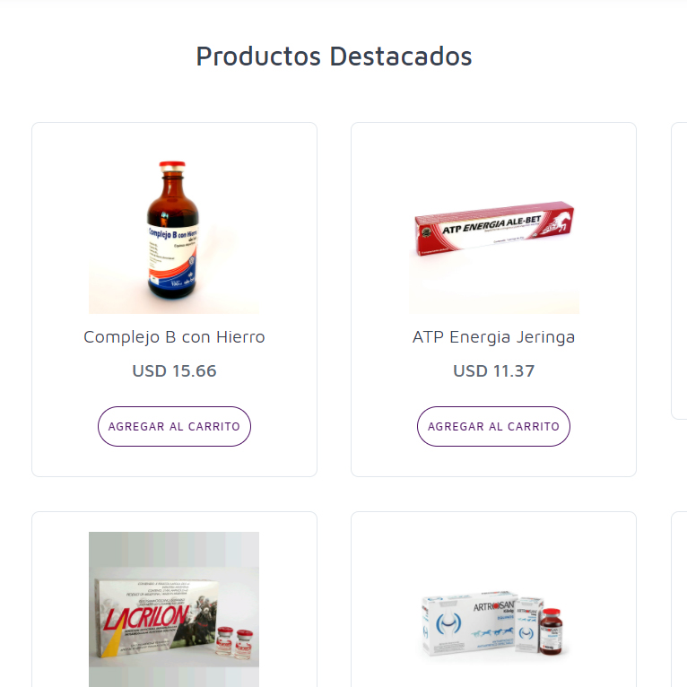 E-COMMERCE MULTILENGUAJE